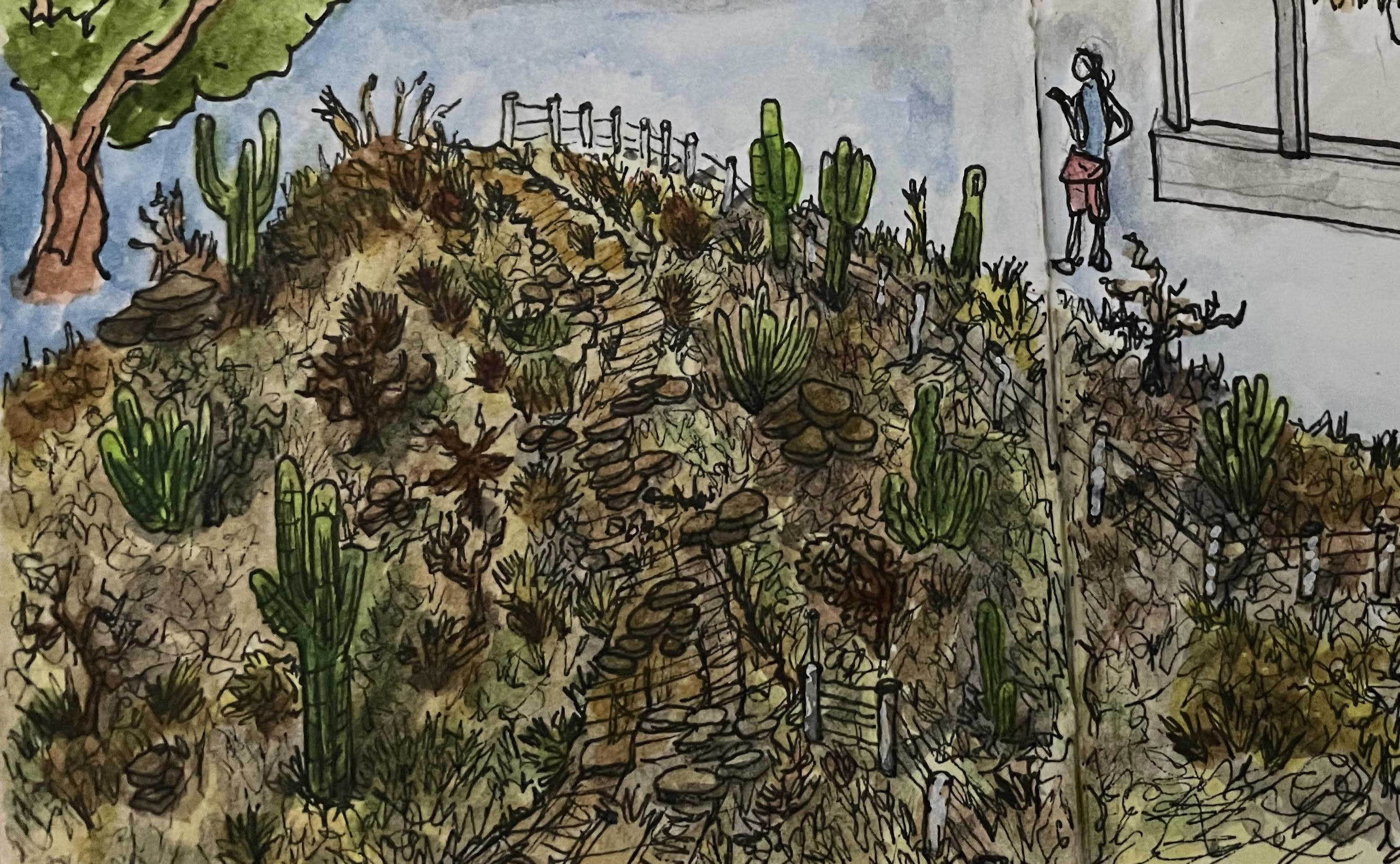 Sketch of a hill in Baja, Mexico