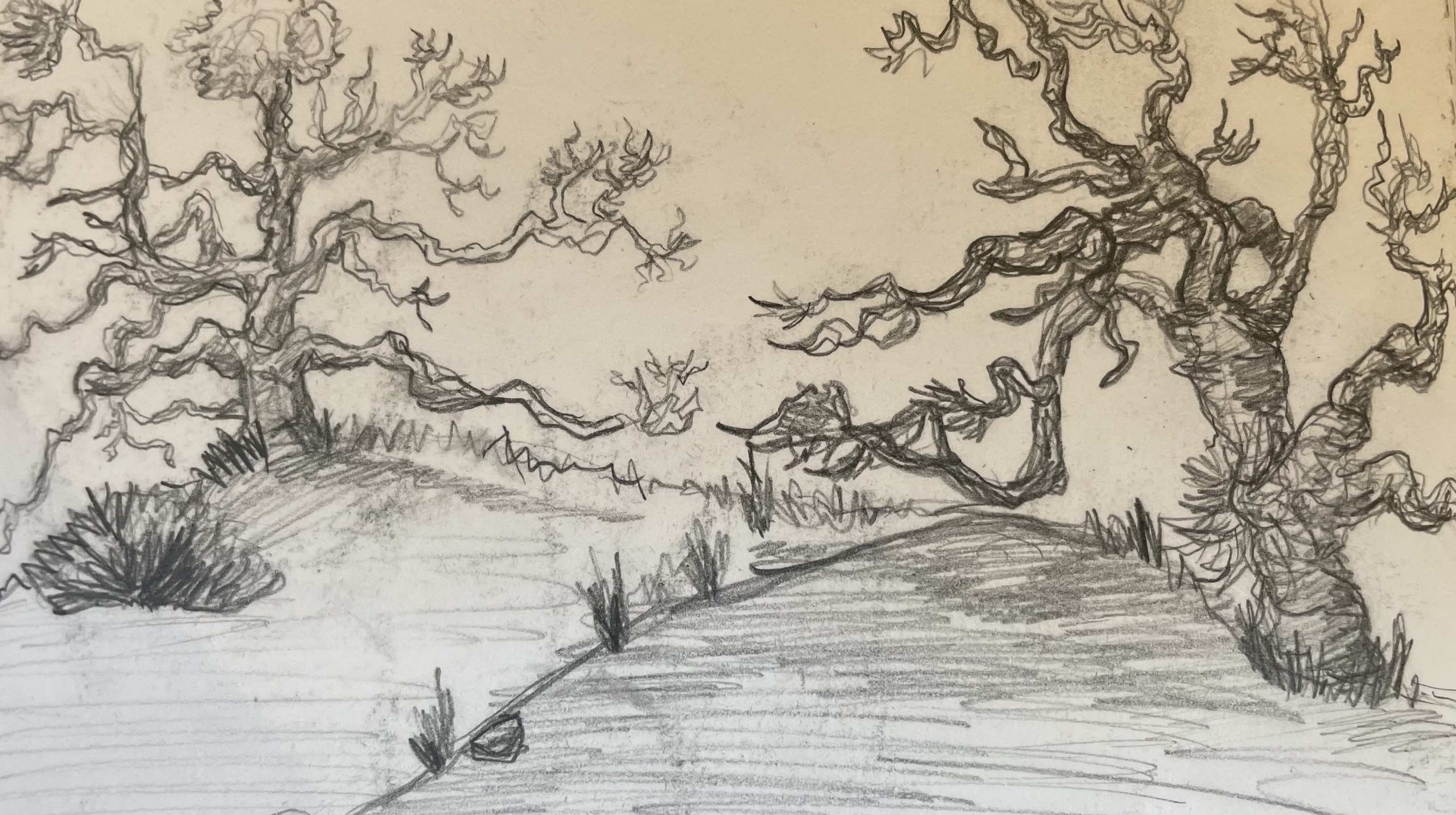 Oak tree landscape sketch
