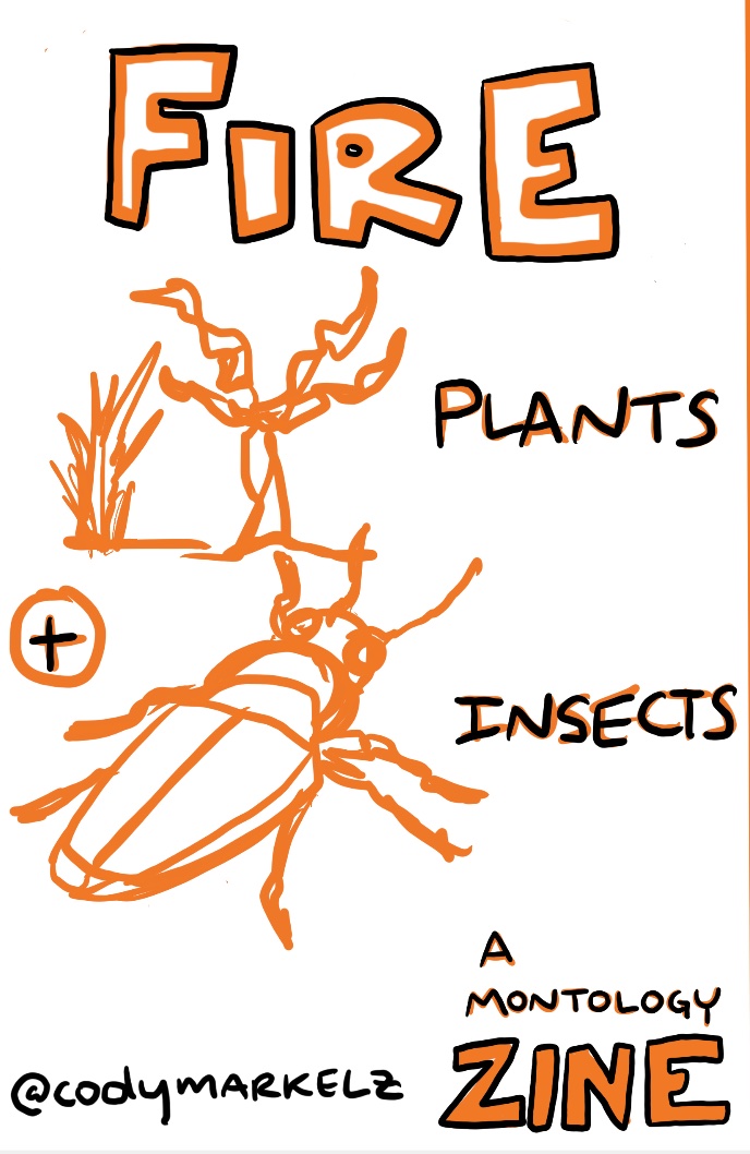 Fire ecology for plants and insects zine