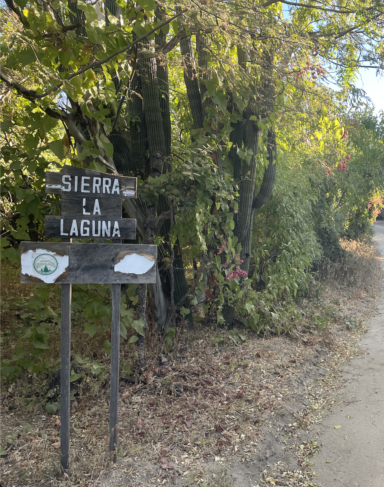 Sierra La Leguna Entrance