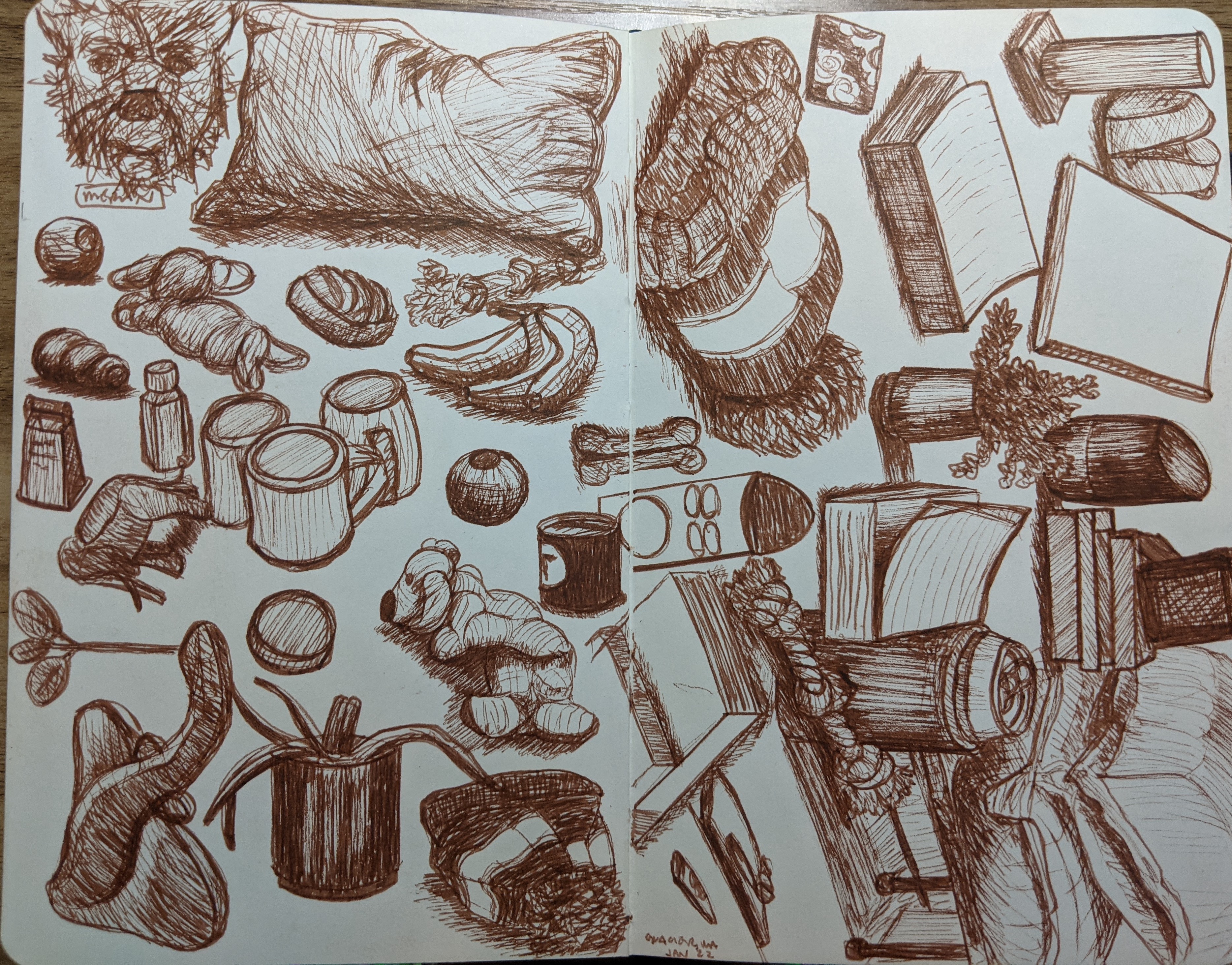 sepia toned sketches of household objects
